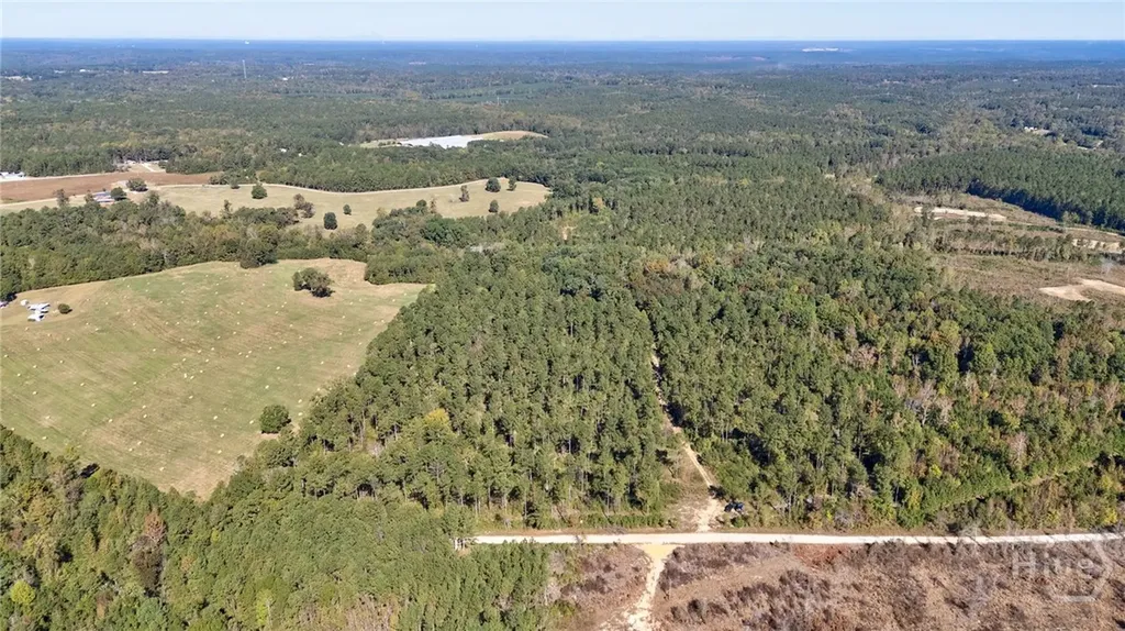 1 Bridges Carlton GA 30627
