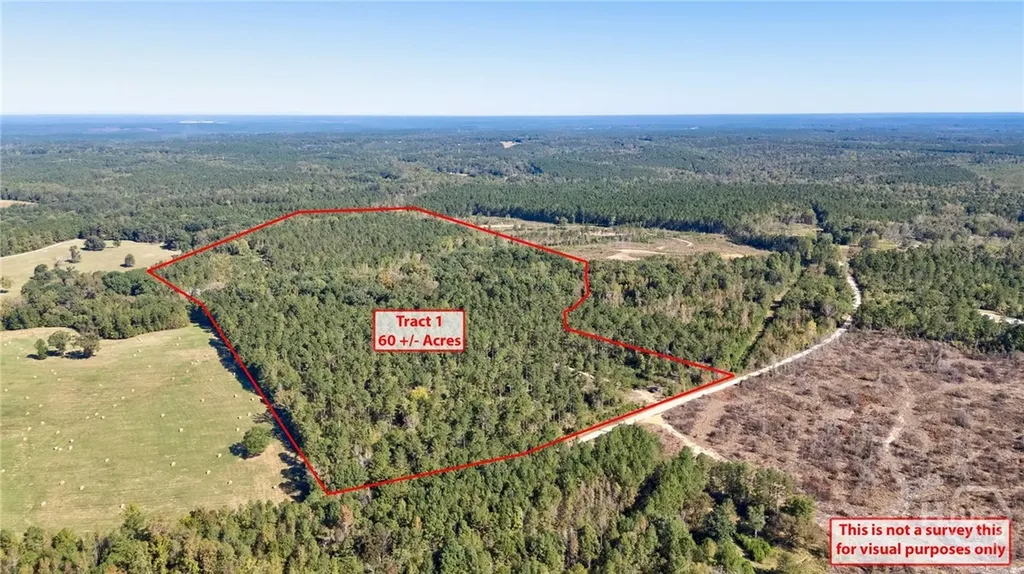 1 Bridges Carlton GA 30627