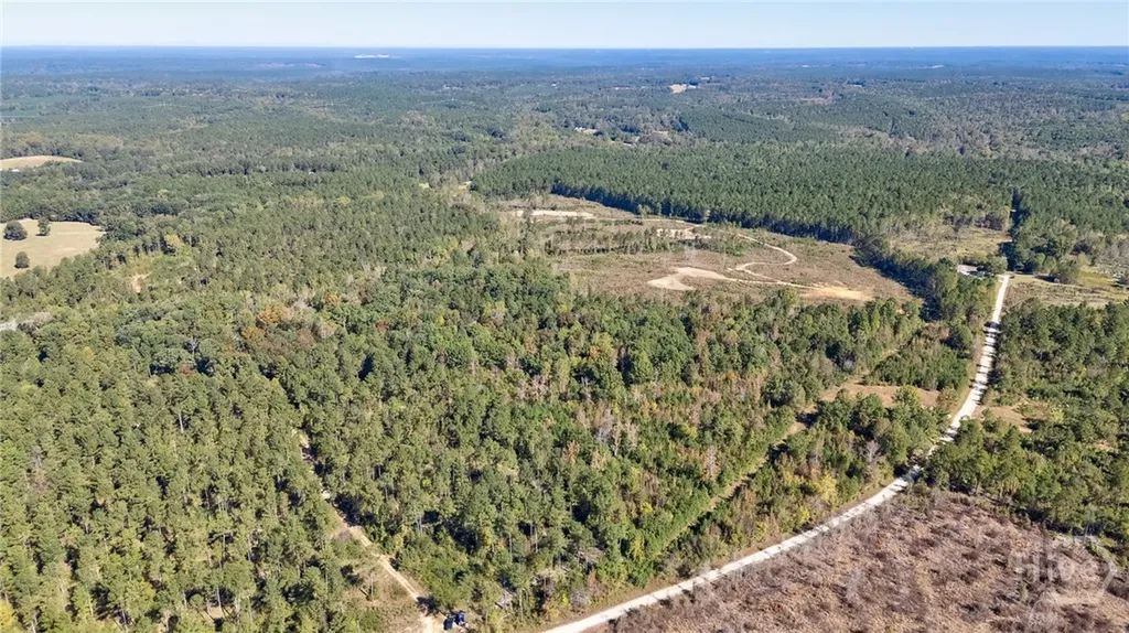 1 Bridges Carlton GA 30627