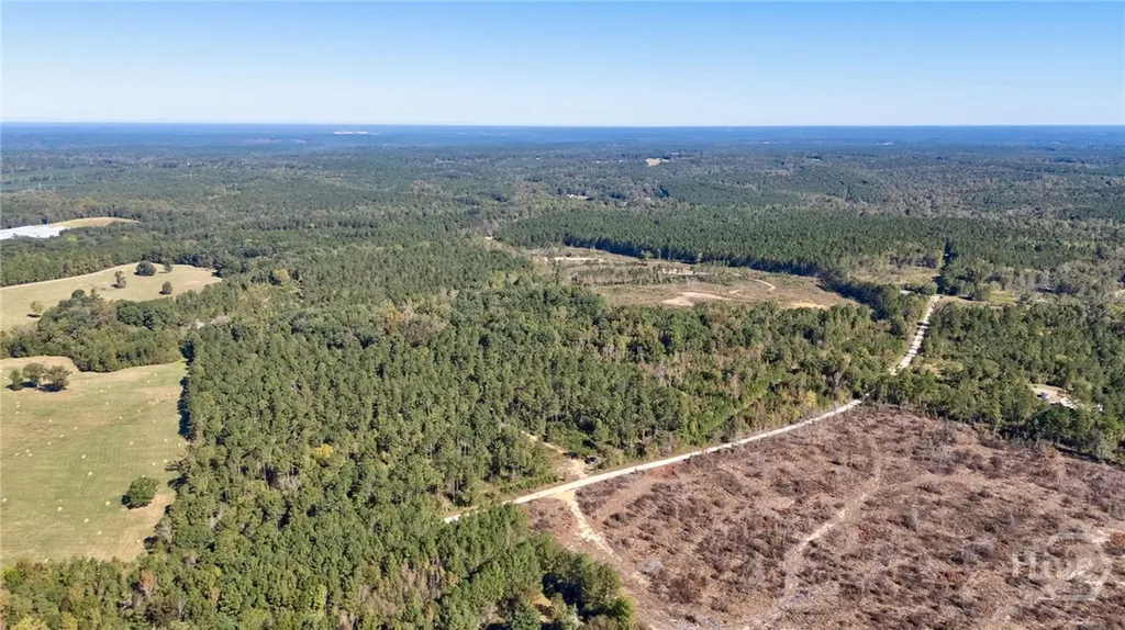 1 Bridges Carlton GA 30627