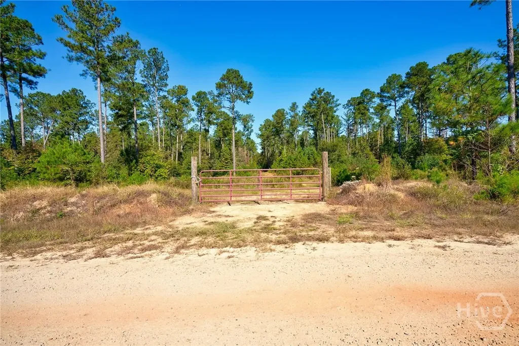 1 Bridges Carlton GA 30627