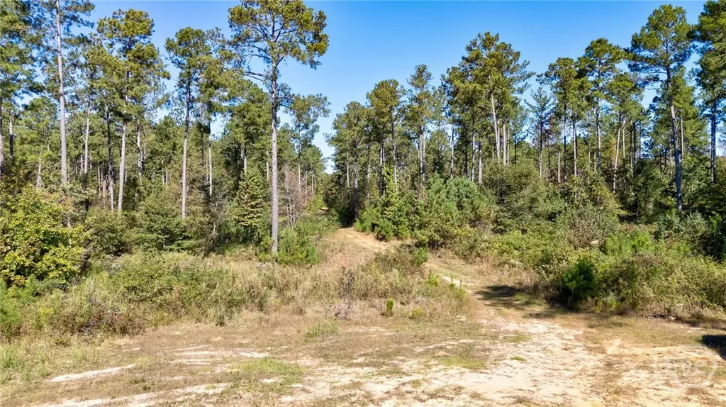 1 Bridges Carlton GA 30627