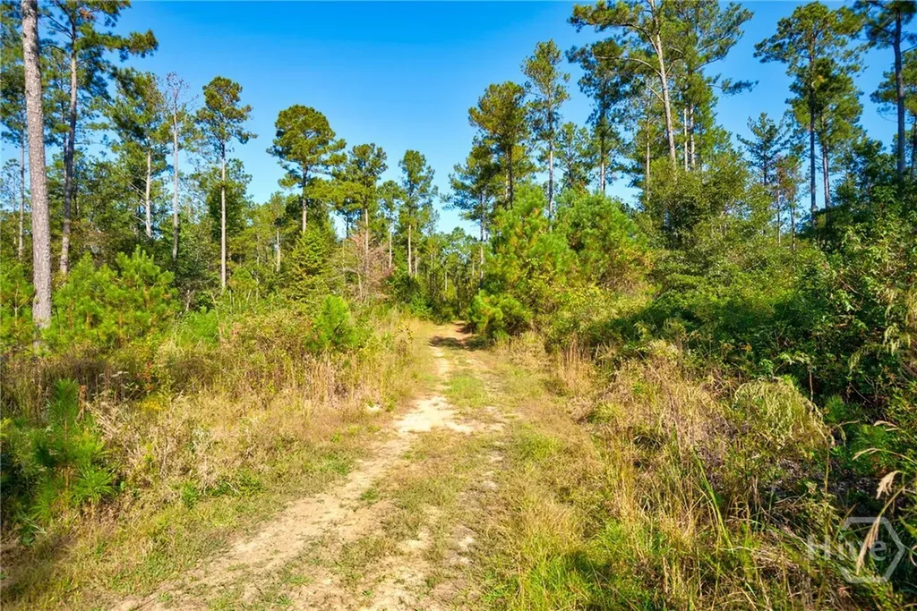 1 Bridges Carlton GA 30627