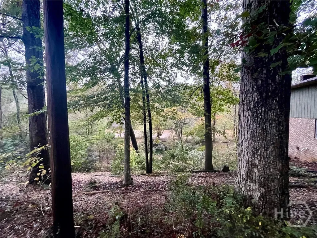 310 Spalding Circle Athens GA 30605