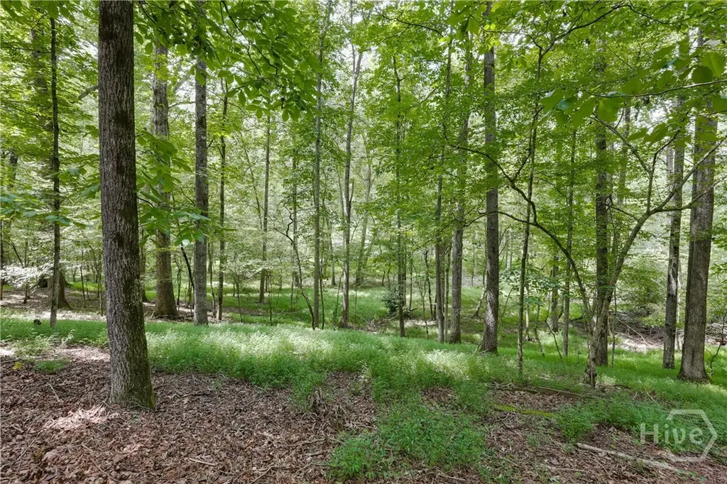 295 Blue Heron Drive Athens GA 30605