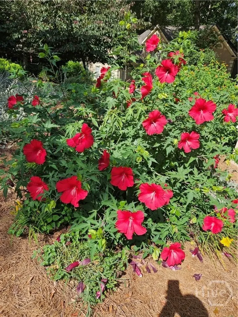 295 Blue Heron Drive Athens GA 30605