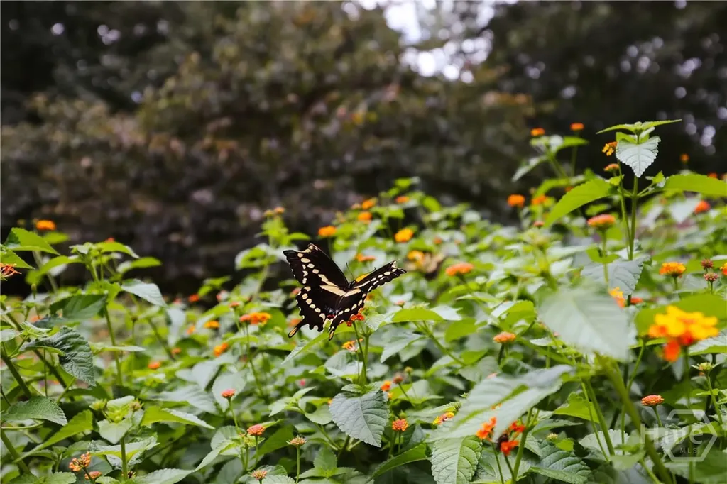 295 Blue Heron Drive Athens GA 30605