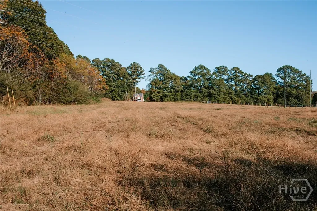 Tract 5 Lakeview Drive Winterville GA 30683
