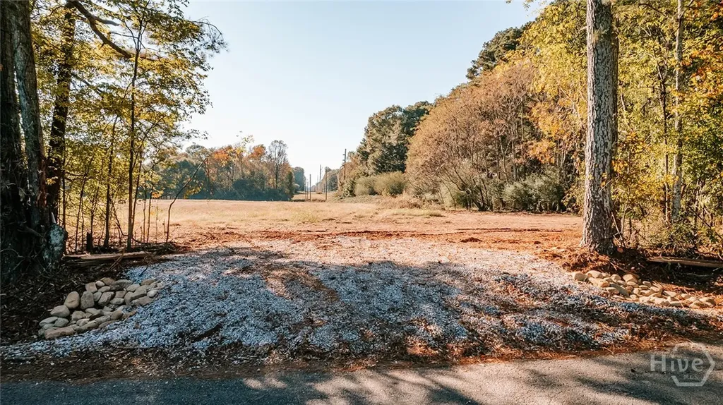 Tract 5 Lakeview Drive Winterville GA 30683