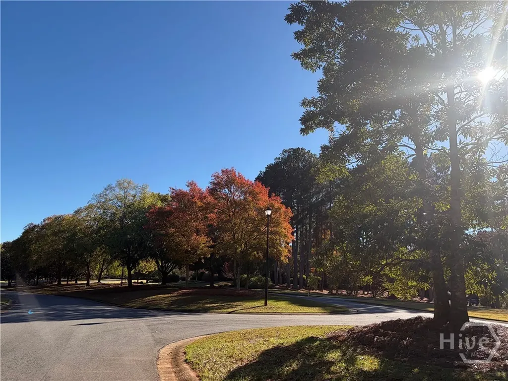 117 Covington Place Athens GA 30606