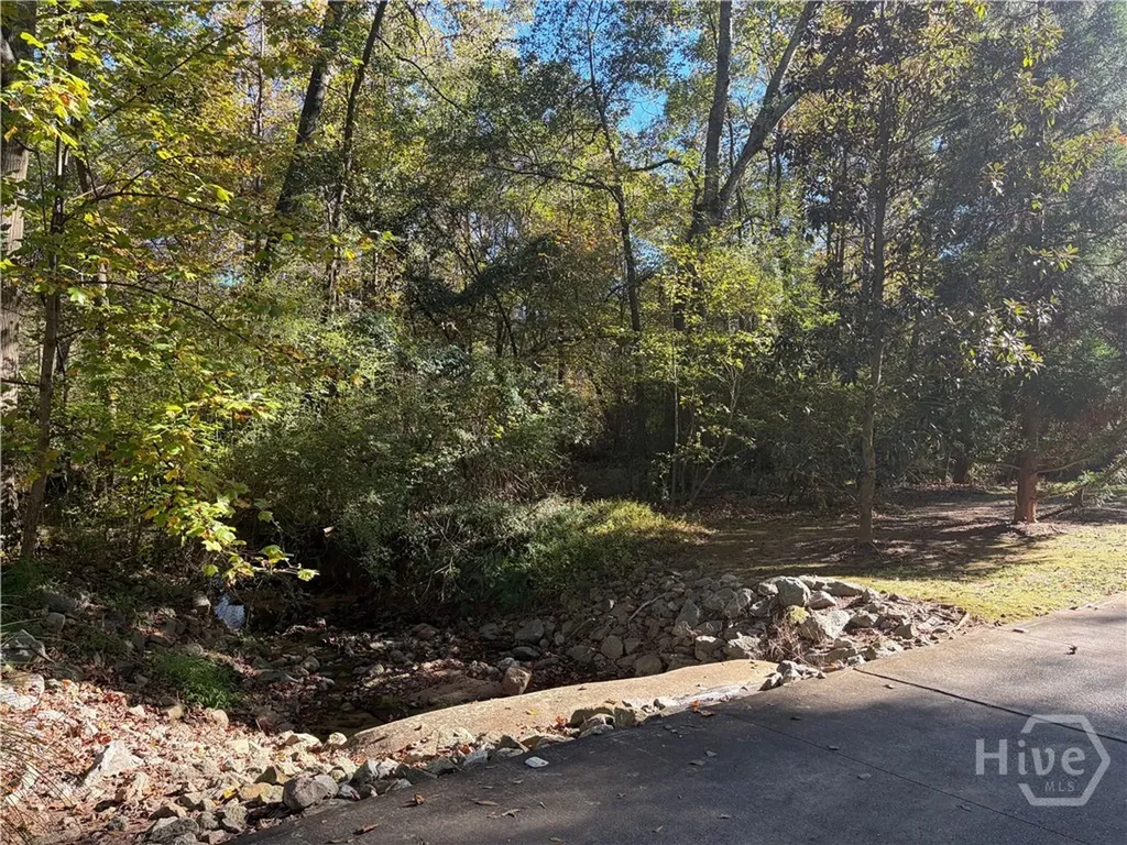 117 Covington Place Athens GA 30606