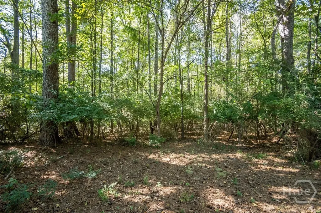 119 Spring Lake Drive Athens GA 30605