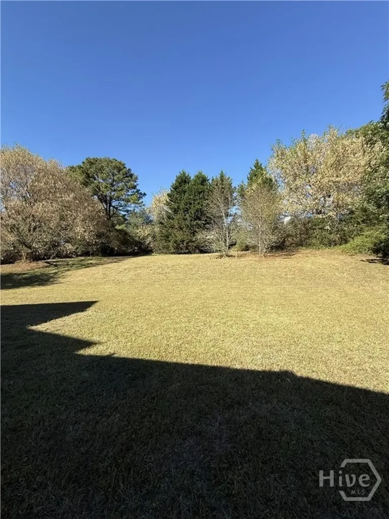 384 Winslow Court Bethlehem GA 30620