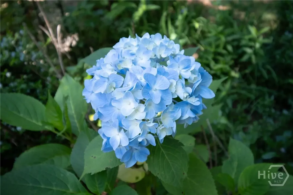 450 Riverbottom Road Athens GA 30606