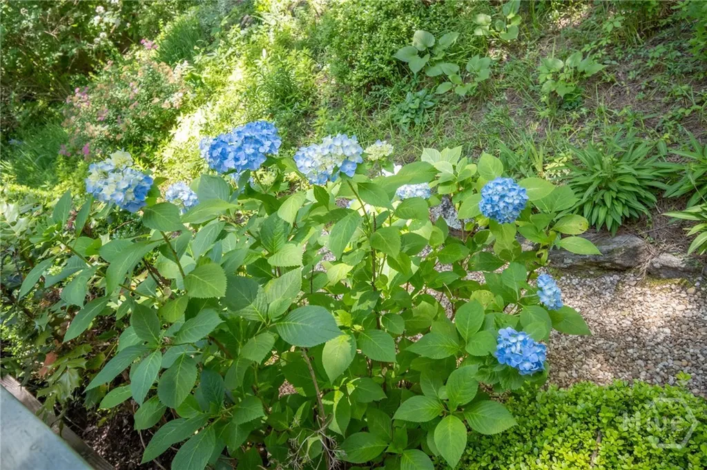 450 Riverbottom Road Athens GA 30606