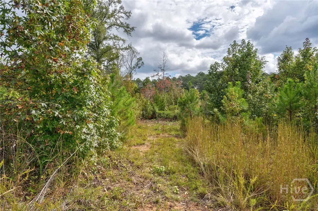 00 Old Salem Road Watkinsville GA 30677