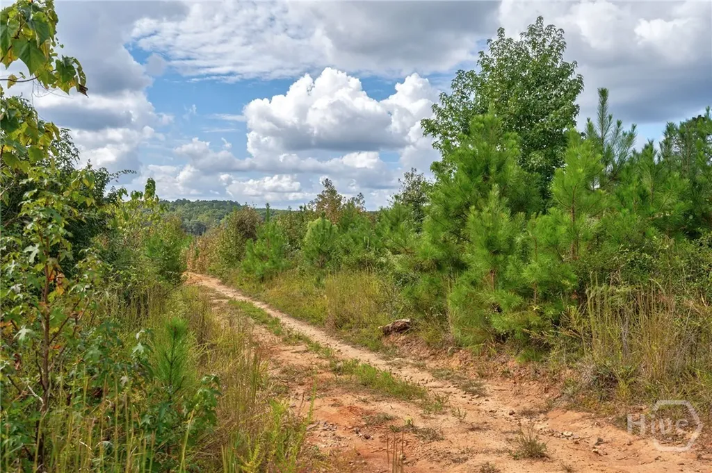 00 Old Salem Road Watkinsville GA 30677
