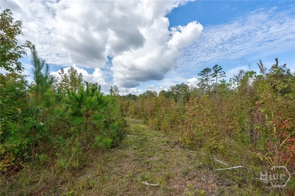00 Old Salem Road Watkinsville GA 30677
