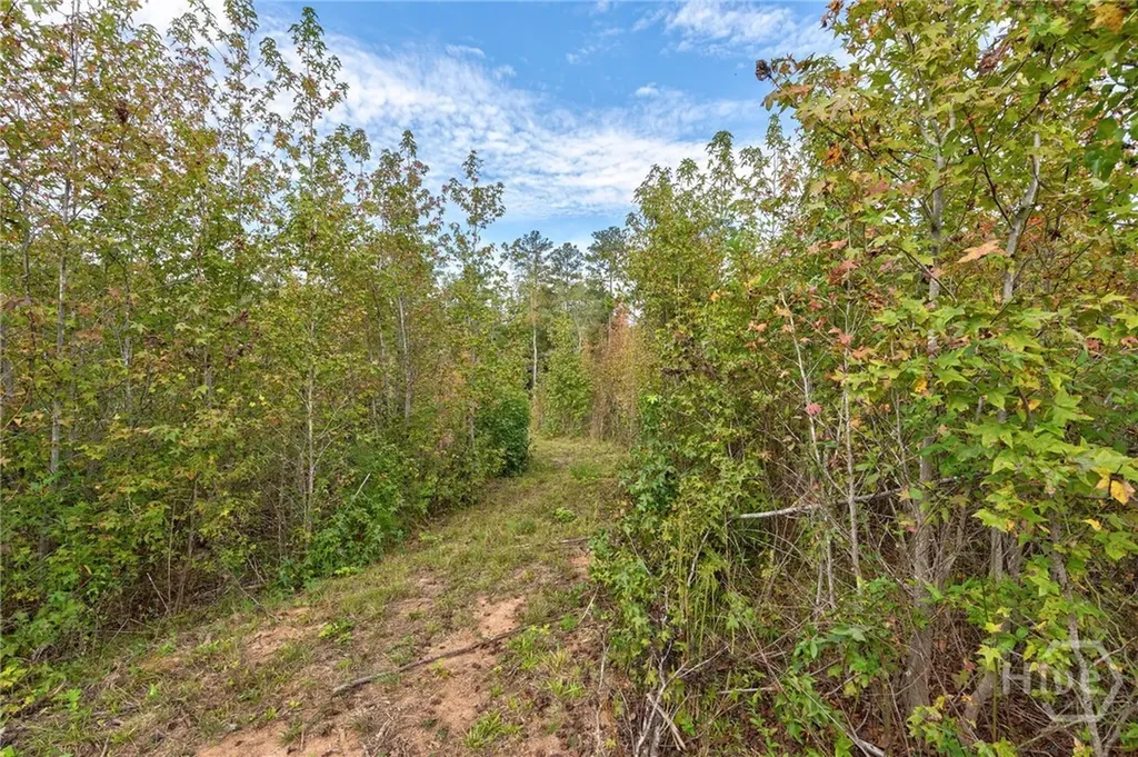 00 Old Salem Road Watkinsville GA 30677