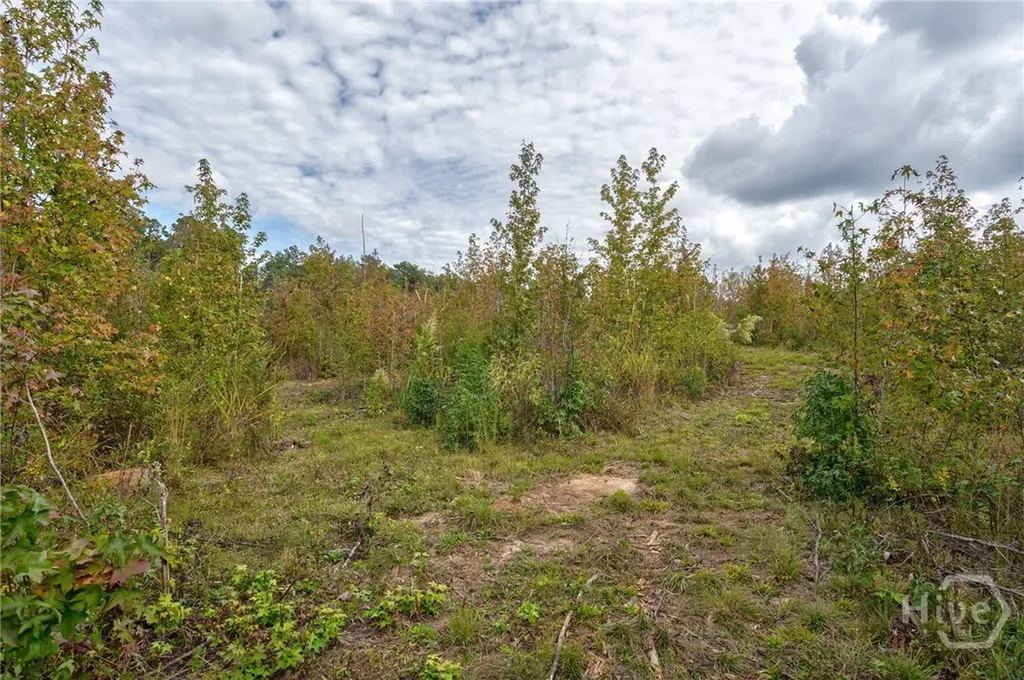 00 Old Salem Road Watkinsville GA 30677