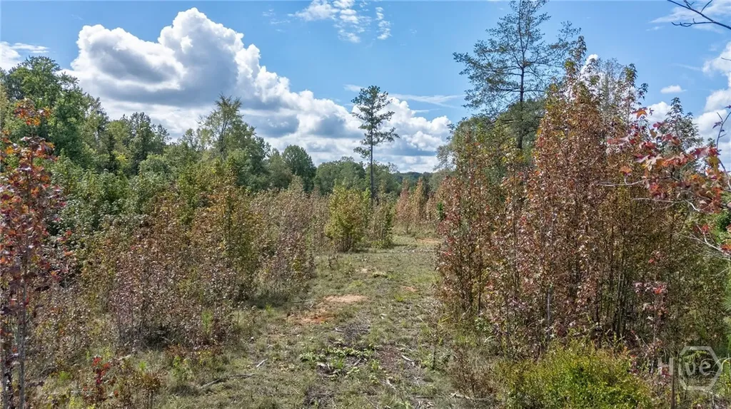 00 Old Salem Road Watkinsville GA 30677