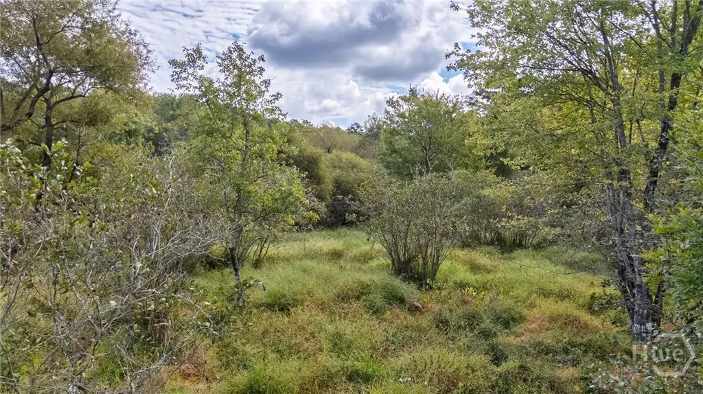 00 Old Salem Road Watkinsville GA 30677