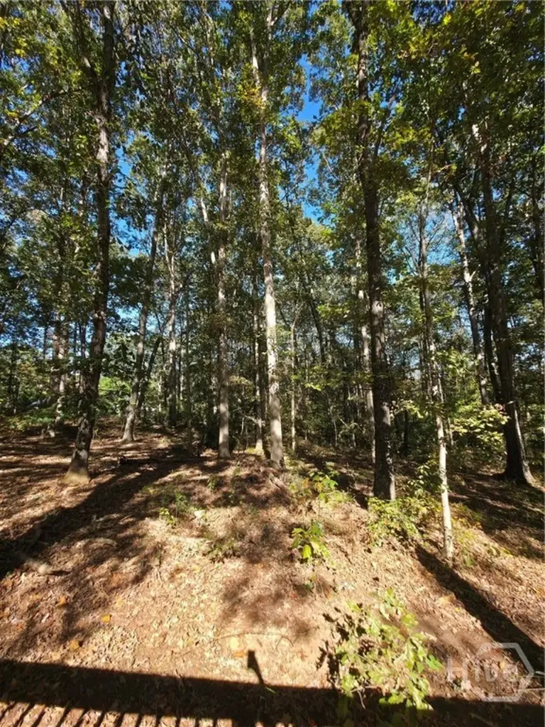 8255 Shadow Creek Drive Bethlehem GA 30620