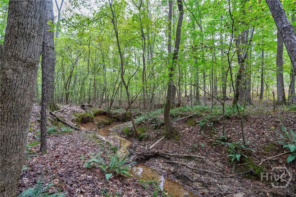 0 Lower Wirebridge Road Stephens GA 30667