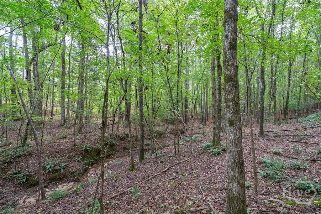 0 Lower Wirebridge Road Stephens GA 30667