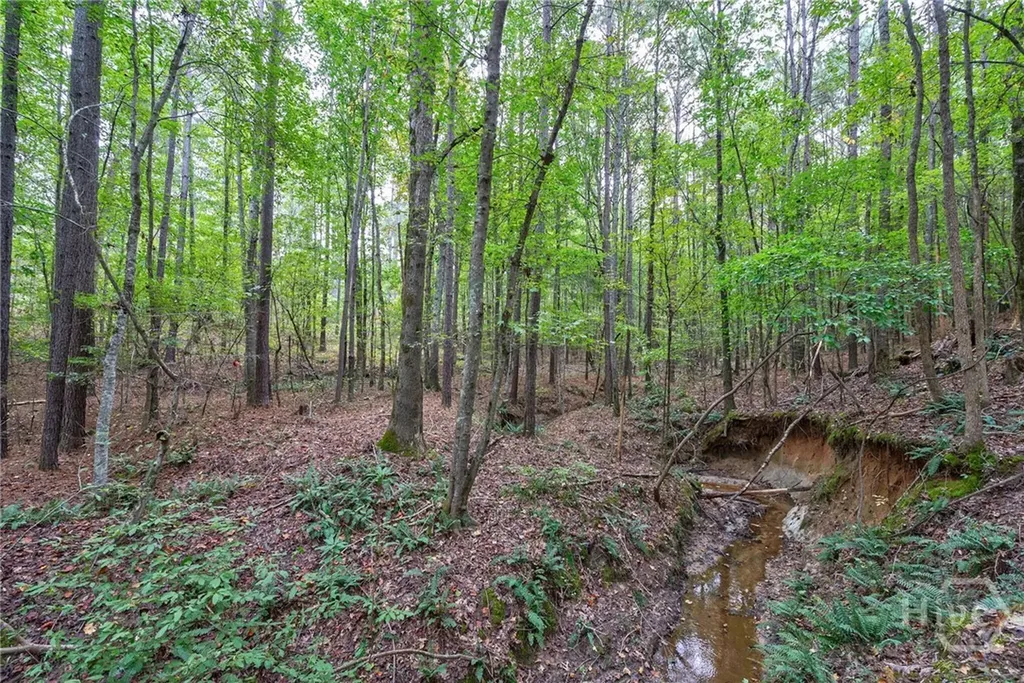 0 Lower Wirebridge Road Stephens GA 30667