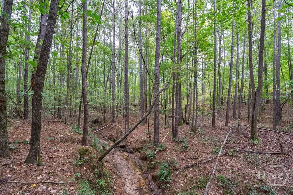 0 Lower Wirebridge Road Stephens GA 30667