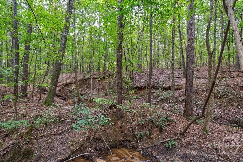 0 Lower Wirebridge Road Stephens GA 30667