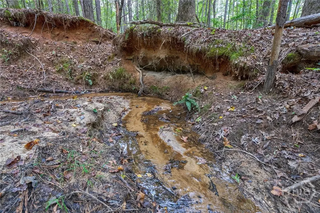 0 Lower Wirebridge Road Stephens GA 30667