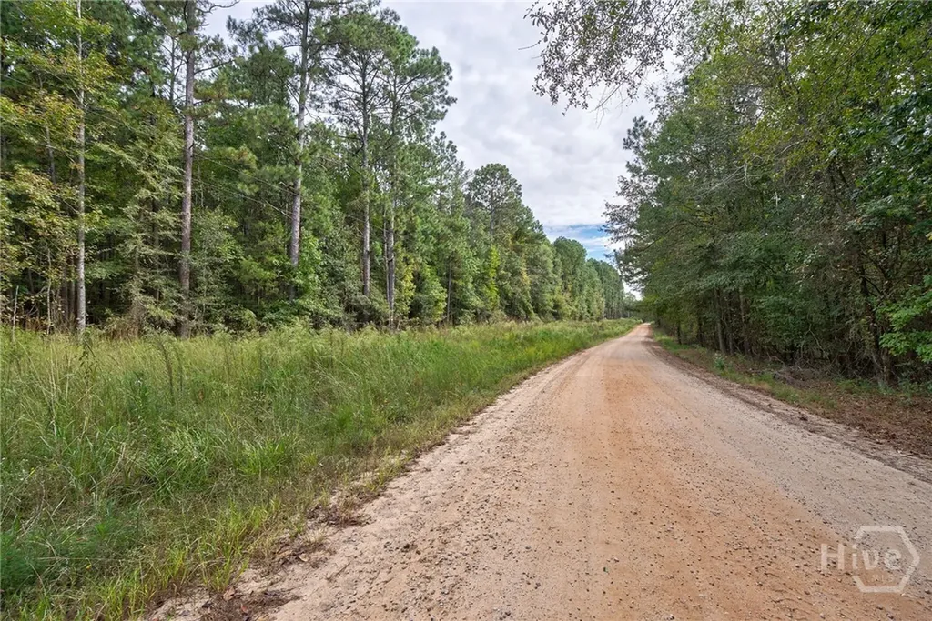 0 Lower Wirebridge Road Stephens GA 30667