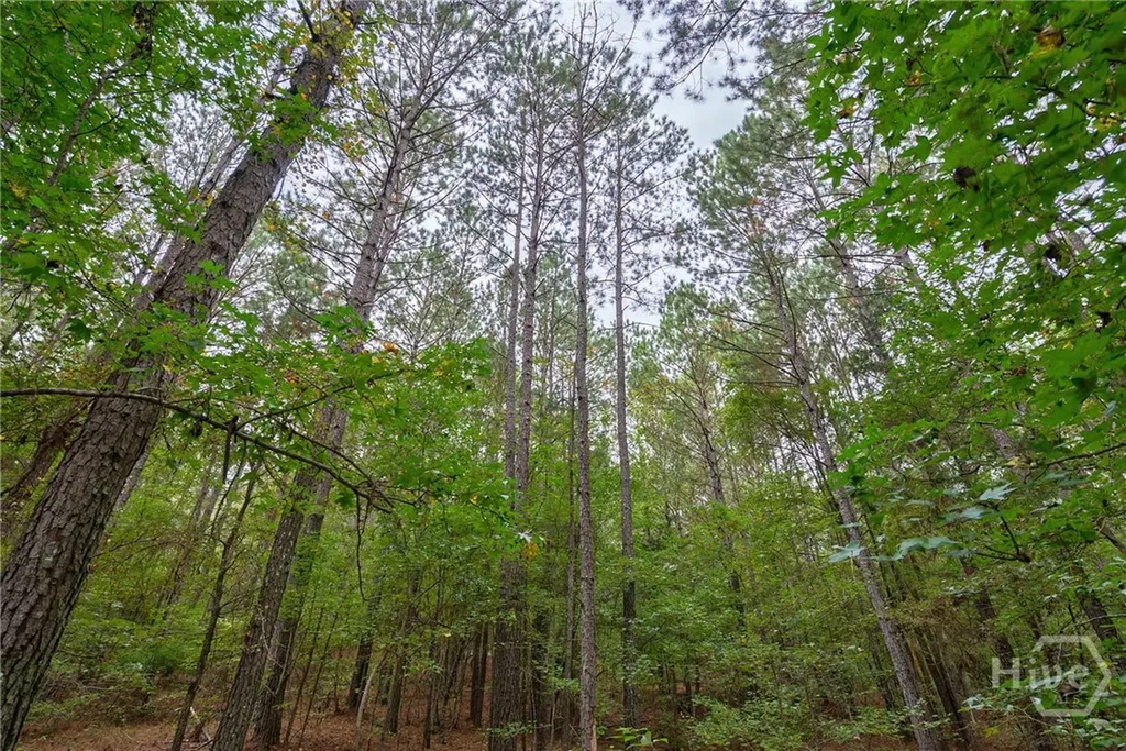 0 Lower Wirebridge Road Stephens GA 30667