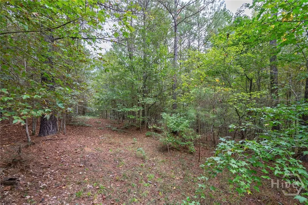 0 Lower Wirebridge Road Stephens GA 30667