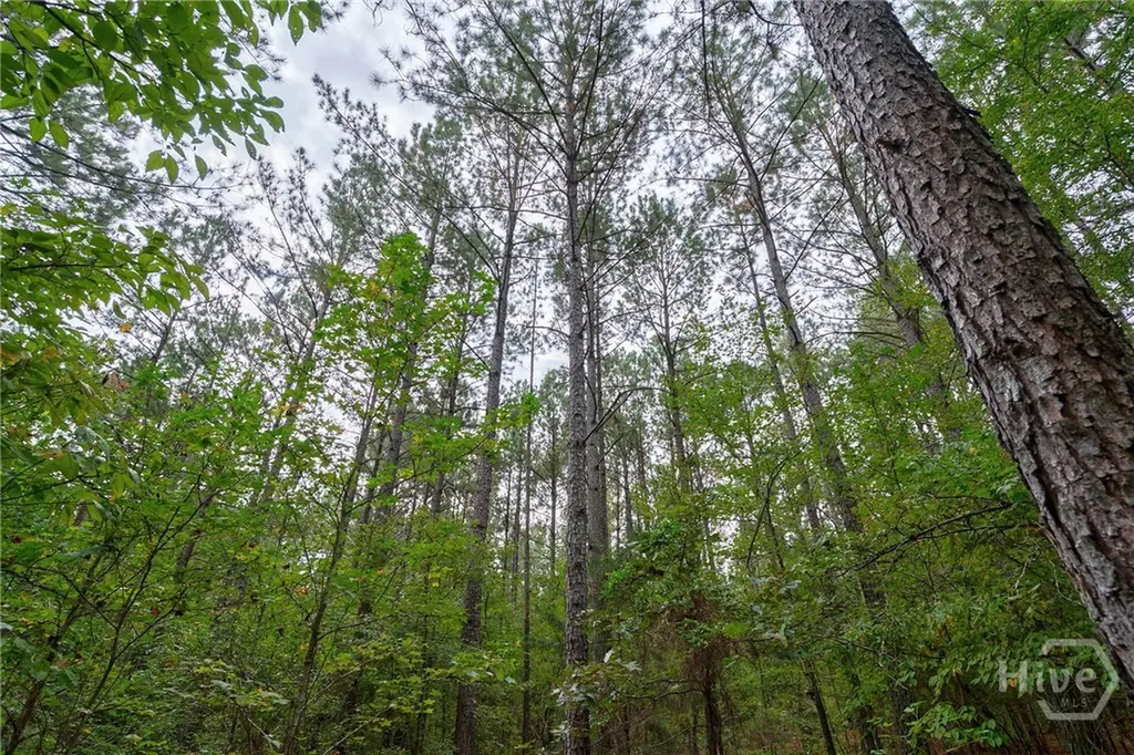 0 Lower Wirebridge Road Stephens GA 30667