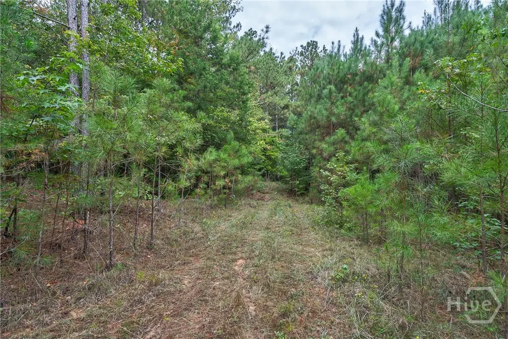 0 Lower Wirebridge Road Stephens GA 30667