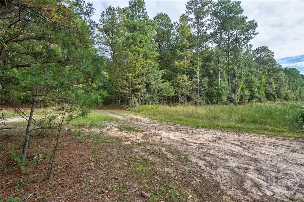 0 Lower Wirebridge Road Stephens GA 30667