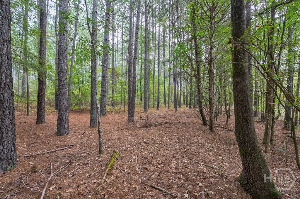 0 Lower Wirebridge Road Stephens GA 30667