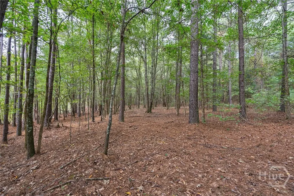 0 Lower Wirebridge Road Stephens GA 30667