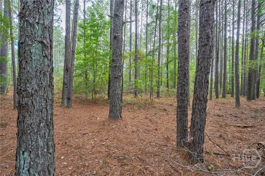 0 Lower Wirebridge Road Stephens GA 30667