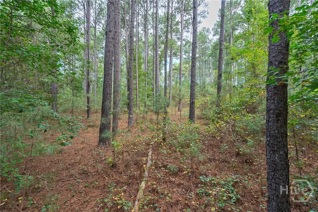 0 Lower Wirebridge Road Stephens GA 30667