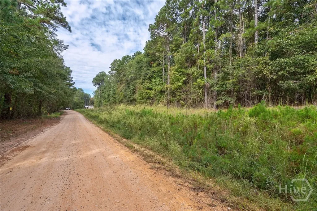 0 Lower Wirebridge Road Stephens GA 30667