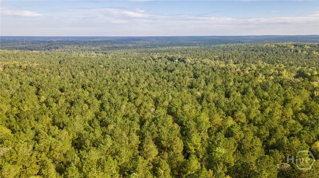 0 Lower Wirebridge Road Stephens GA 30667