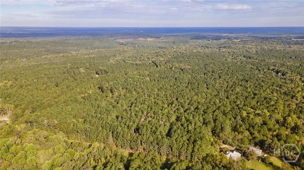 0 Lower Wirebridge Road Stephens GA 30667