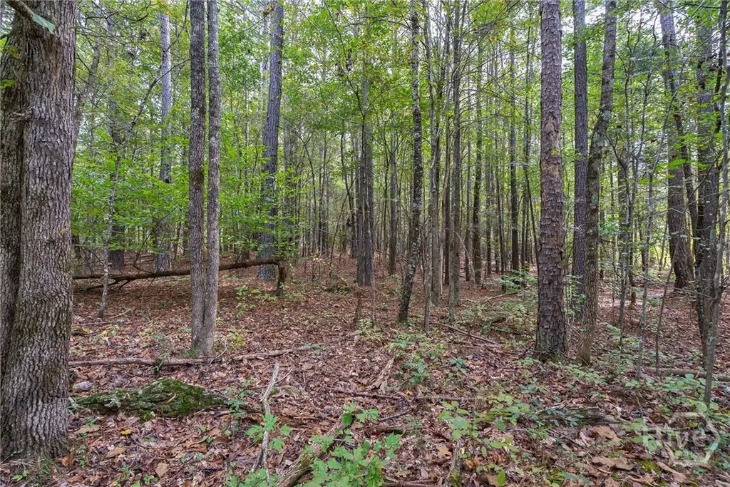 0 Lower Wirebridge Road Stephens GA 30667