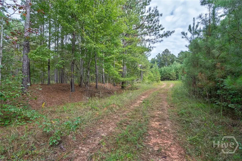 0 Lower Wirebridge Road Stephens GA 30667
