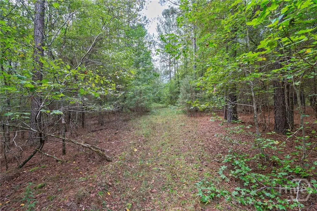 0 Lower Wirebridge Road Stephens GA 30667