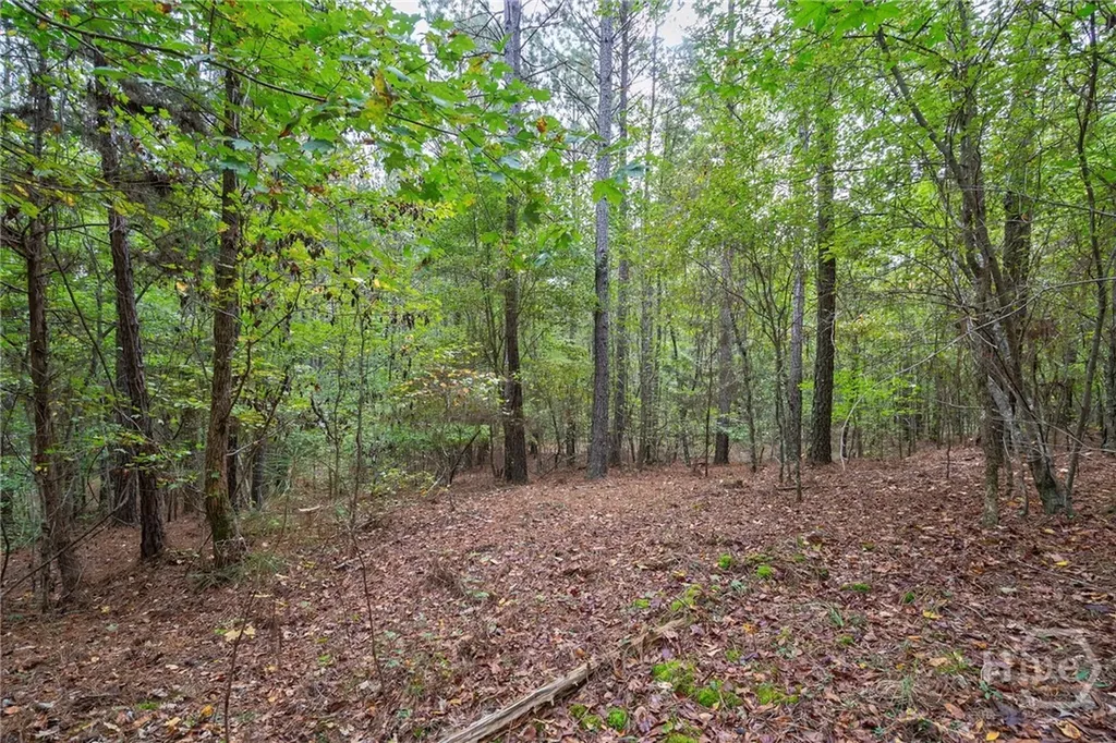 0 Lower Wirebridge Road Stephens GA 30667